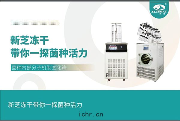 凍(dòng)幹機探尋菌(jūn)種內部分子機(jī)製變化