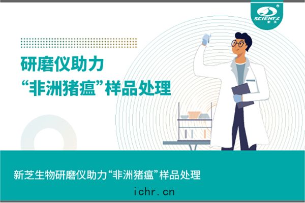 新(xīn)芝生物組(zǔ)織(zhī)研(yán)磨儀(yí)助力“非洲(zhōu)豬瘟”樣品處理