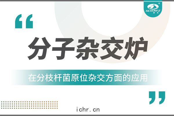 分子雜(zá)交爐(lú)在(zài)分枝(zhī)杆菌(jūn)原位雜(zá)交(jiāo)方麵的(dí)應(yīng)用