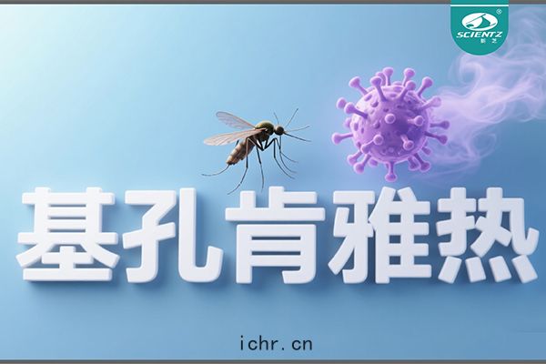 基孔(kǒng)肯雅熱疫情升(shēng)級！新芝生物硬核技術助力病(bìng)毒(dú)精準診(zhěn)斷