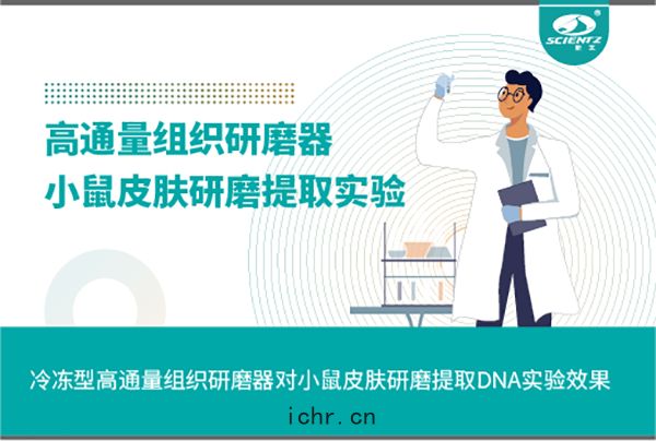 冷凍(dòng)型(xíng)高通量組織(zhī)研(yán)磨器對小(xiǎo)鼠皮膚(fū)研磨(mó)提取(qǔ)DNA實驗(yàn)效果
