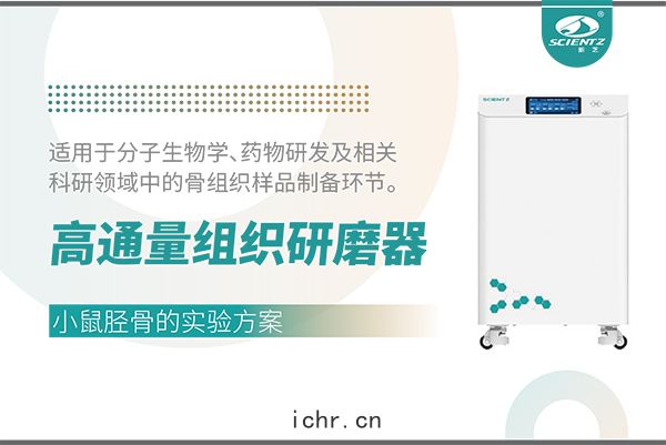 高通量組織研(yán)磨器(qì)處(chǔ)理小(xiǎo)鼠(shǔ)脛骨(gǔ)樣品(pǐn)的實驗(yàn)方案