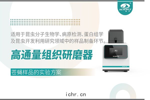 高通量(liáng)組織(zhī)研(yán)磨(mó)器處理(lǐ)蒼(cāng)蠅(yíng)樣品的(dí)實(shí)驗(yàn)方案(àn)