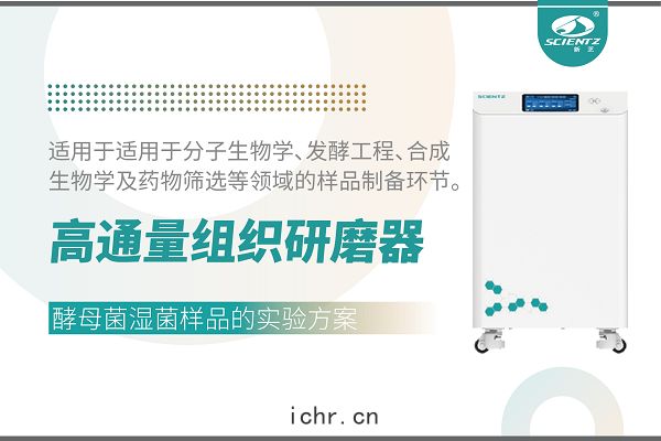 冷凍型高通量組織研磨器(qì)處(chǔ)理酵母(mǔ)菌(jūn)濕菌(jūn)體的(dí)實驗方(fāng)案