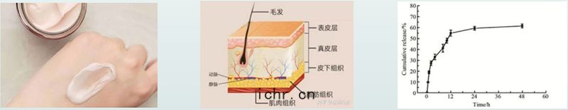 藥物體(tǐ)外透皮(pí)釋放試(shì)驗(yàn)過(guò)程