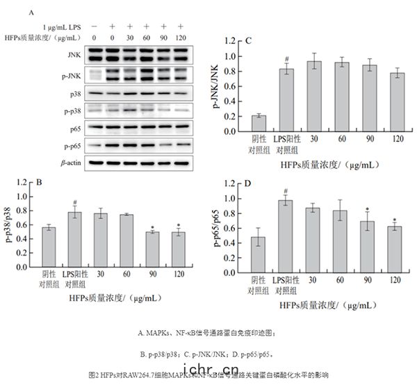 測(cè)定結果