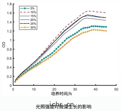 微藻在位(wèi)培(péi)養(yǎng)檢(jiǎn)測