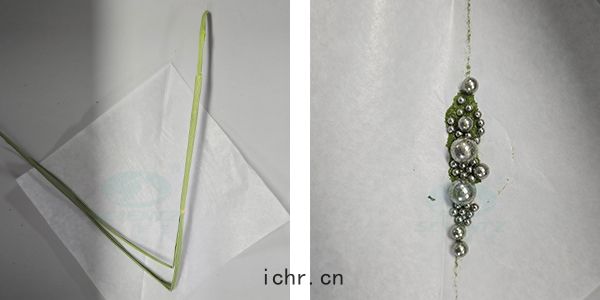 小(xiǎo)麥根(gēn)莖對比(bǐ)圖(tú)